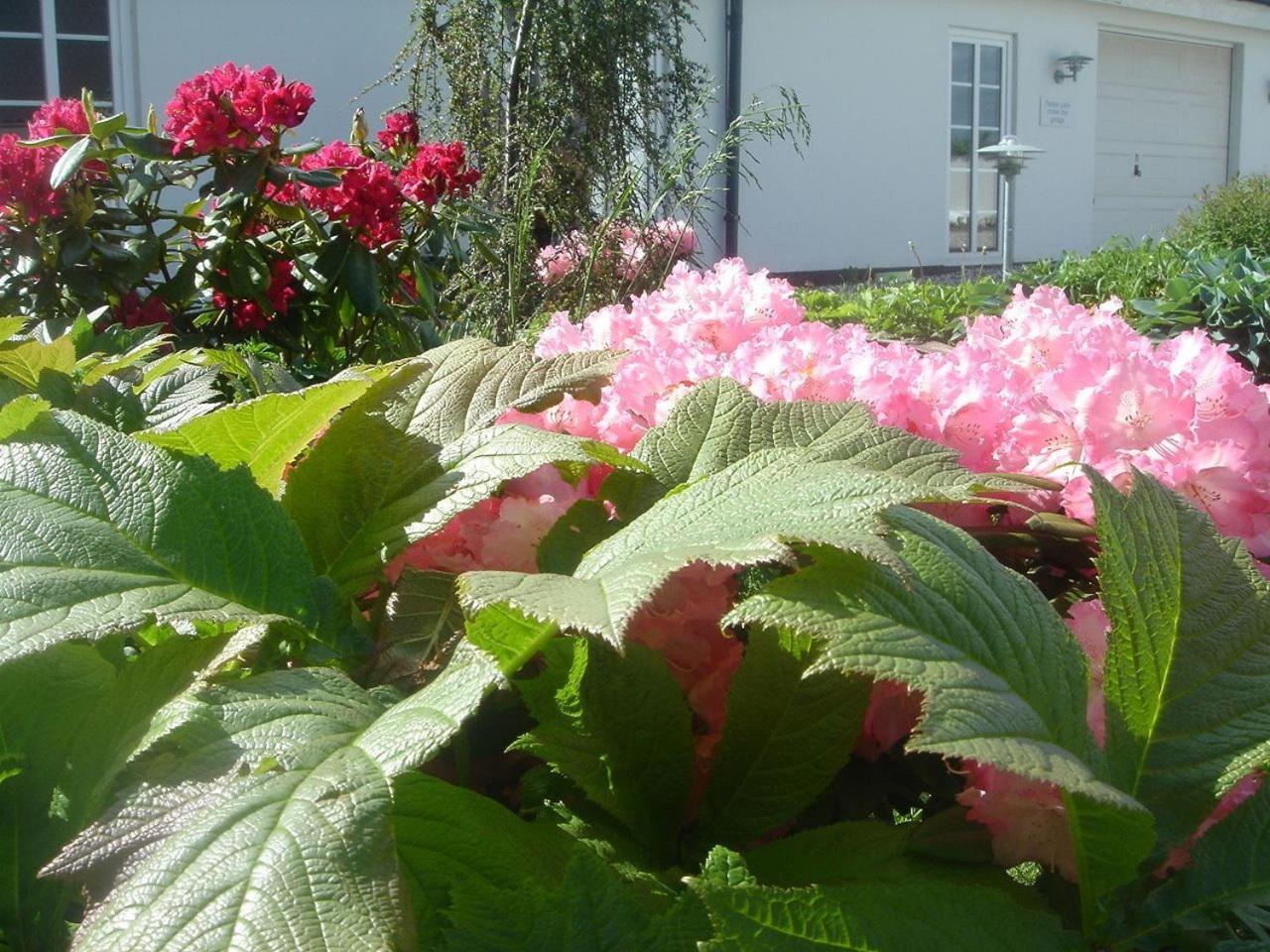 Best Bed Herning Exterior foto